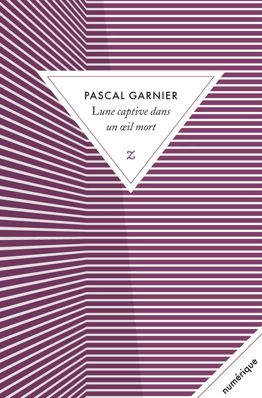 Lune captive dans un œil mort - Pascal Garnier - Zulma