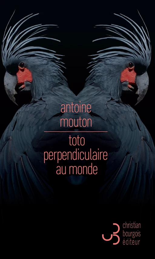 Toto perpendiculaire au monde - Antoine Mouton - Christian Bourgois éditeur