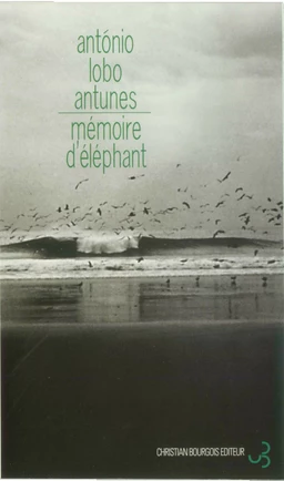 Mémoire d'éléphant