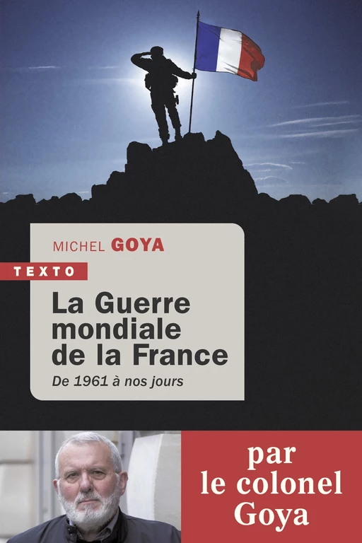 La guerre mondiale de la France - Michel Goya - Tallandier