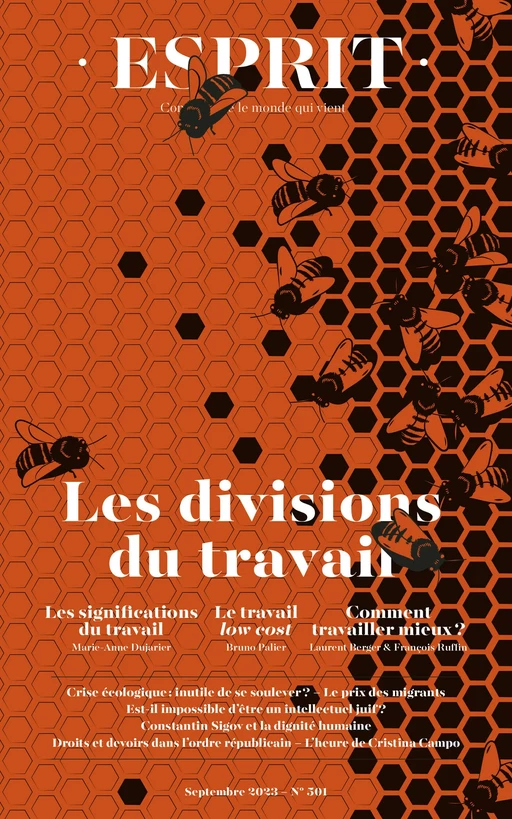 Esprit - Les divisions du travail - Marie-Anne Dujarier, Bruno Palier, Éva Illouz - Editions Esprit