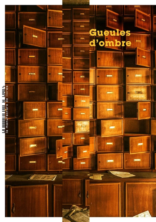 Gueules d'ombre - Lionel Destremau - La Manufacture de livres