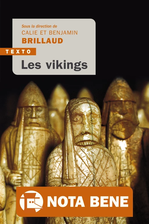 Les vikings - Benjamin Brillaud, Calie Brillaud - Tallandier