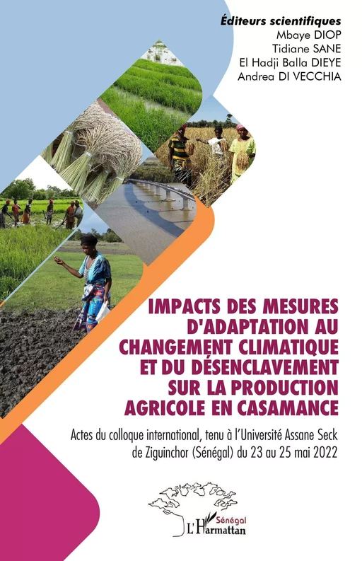 Impacts des mesures d'adaptation au changement climatique et du désenclavement sur la production agricole en Casamance - Mbaye Diop, Tidiane Sané, El Hadji Balla Dieye, Andrea Di Vecchia - Editions L'Harmattan