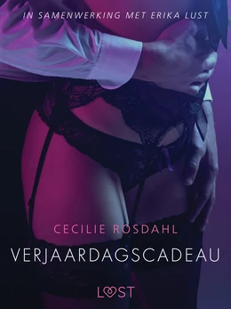 Verjaardagscadeau - erotisch verhaal