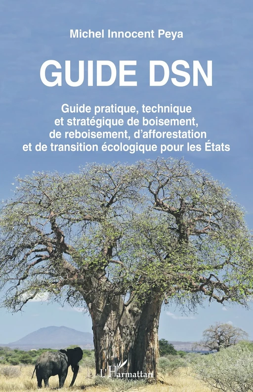 Guide DSN - Michel Innocent Peya - Editions L'Harmattan