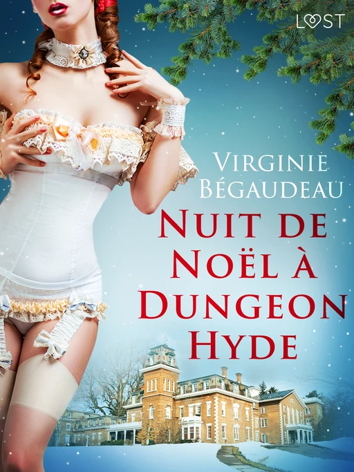 Nuit de Noël à Dungeon Hyde – Une nouvelle érotique - Virginie Begaudeau - Saga Egmont French