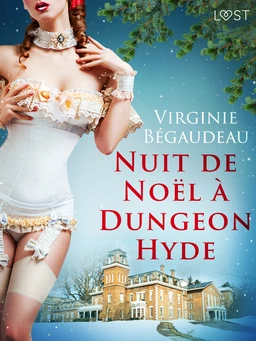 Nuit de Noël à Dungeon Hyde – Une nouvelle érotique