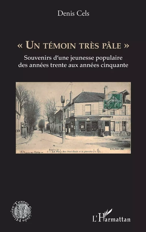 "Un témoin très pâle" - Denis Cels - Editions L'Harmattan