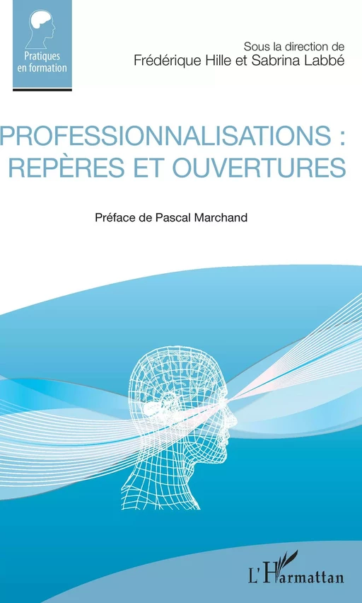 Professionnalisations : repères et ouvertures - Frédérique Hille, Sabrina Labbé - Editions L'Harmattan