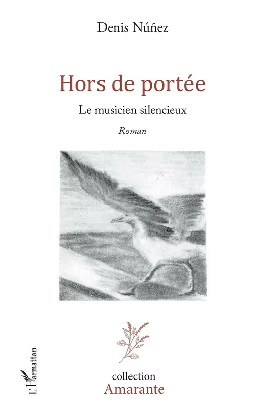 Hors de portée - Denis Núñez - Editions L'Harmattan