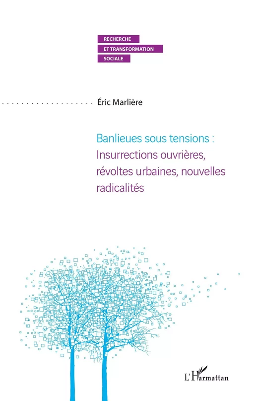 Banlieues sous tensions : Insurrections ouvrières, révoltes urbaines, nouvelles radicalités - Eric Marliere - Editions L'Harmattan