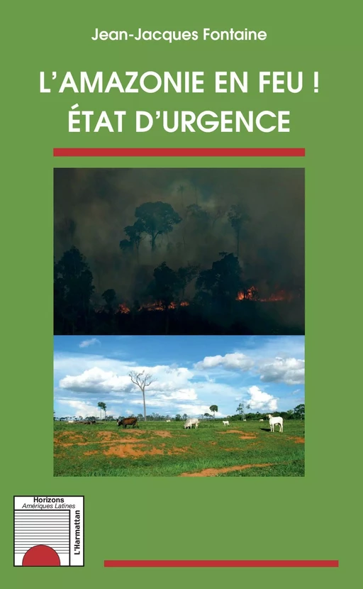 L'Amazonie en feu ! - Jean-Jacques Fontaine - Editions L'Harmattan