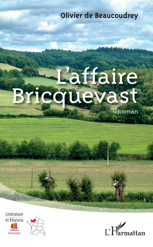 L'affaire Bricquevast - Olivier de Beaucoudrey - Editions L'Harmattan