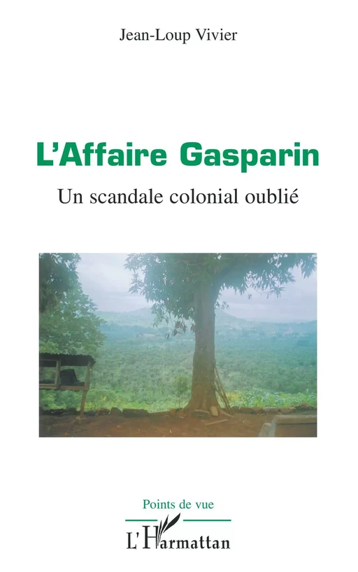 L'Affaire Gasparin - Jean-Loup Vivier - Editions L'Harmattan