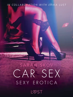 Car Sex - Sexy erotica