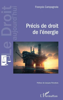 Précis de droit de l'énergie