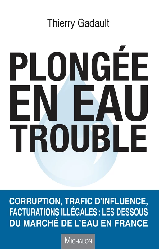 Plongée en eau trouble - Thierry Gadault - Michalon