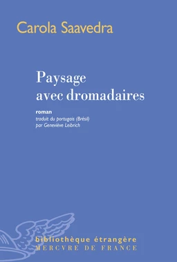 Paysage avec dromadaires