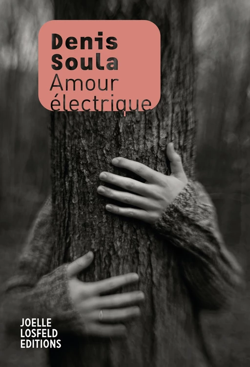 Amour électrique - Denis Soula - Éditions Joëlle Losfeld