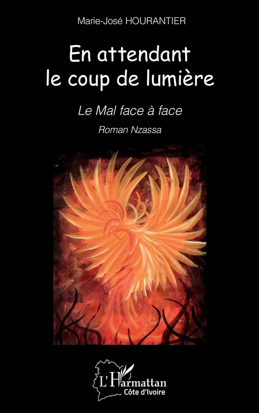 En attendant le coup de lumière - Marie-José Hourantier - Editions L'Harmattan