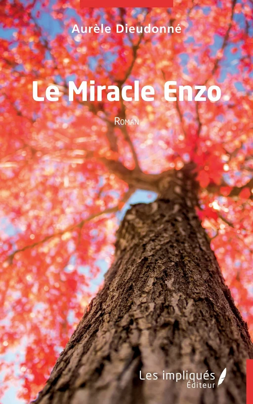 Le Miracle Enzo - Aurèle Dieudonné - Les Impliqués