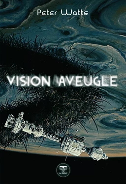 Vision aveugle