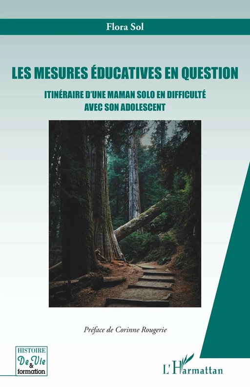 Les mesures éducatives en question - Flora Sol - Editions L'Harmattan