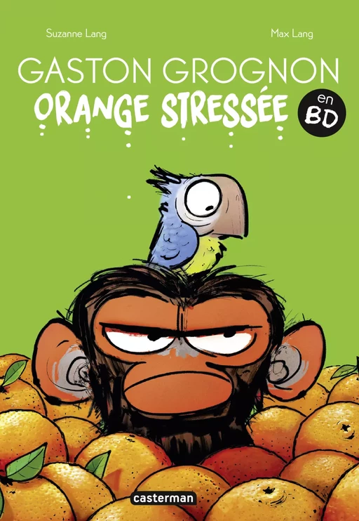 Gaston Grognon en BD - Orange stressée - Suzanne Lang - Casterman Jeunesse