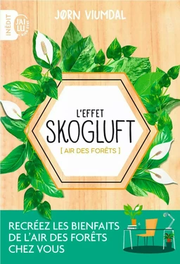 L'effet Skogluft (Air des forêts)