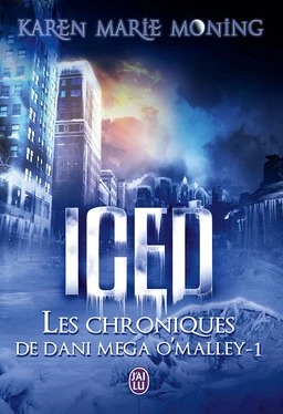 Les chroniques de Dani Mega O’Malley (Tome 1) - Iced