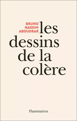 Les dessins de la colère