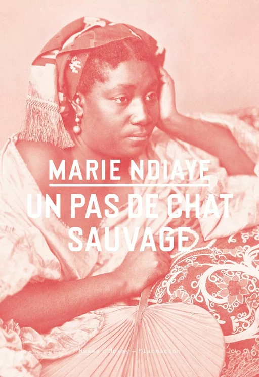 Un pas de chat sauvage - Marie Ndiaye - Flammarion