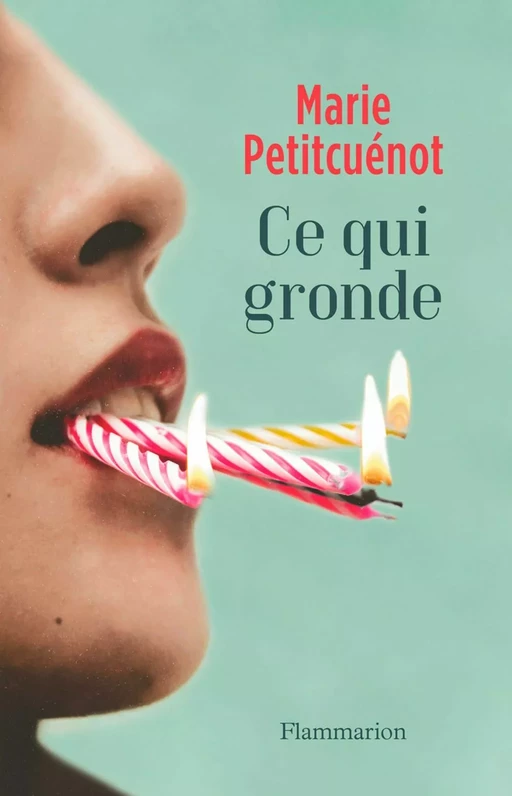 Ce qui gronde - Marie Petitcuénot - Flammarion