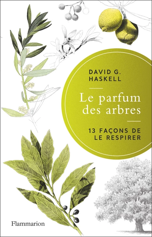 Le parfum des arbres - David G. Haskell - Flammarion