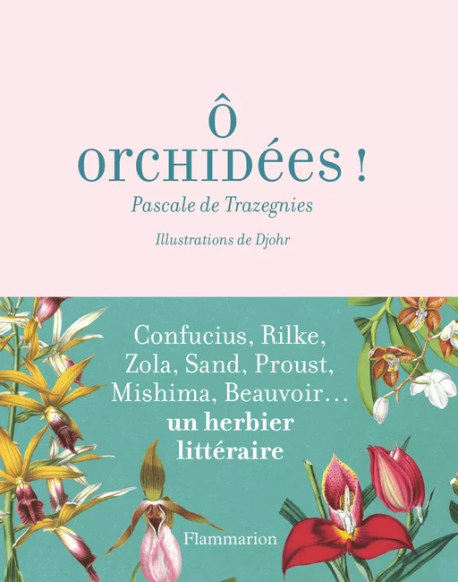 Ô orchidées - Pascale de Trazegnies - Flammarion