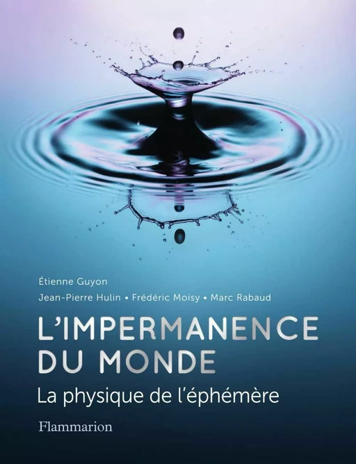 L'impermanence du monde - Étienne Guyon, Jean-Pierre Hulin, Frédéric Moisy, Marc Rabaud - Flammarion