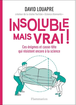 Insoluble mais vrai ! Ces énigmes et casse-tête qui résistent encore à la science