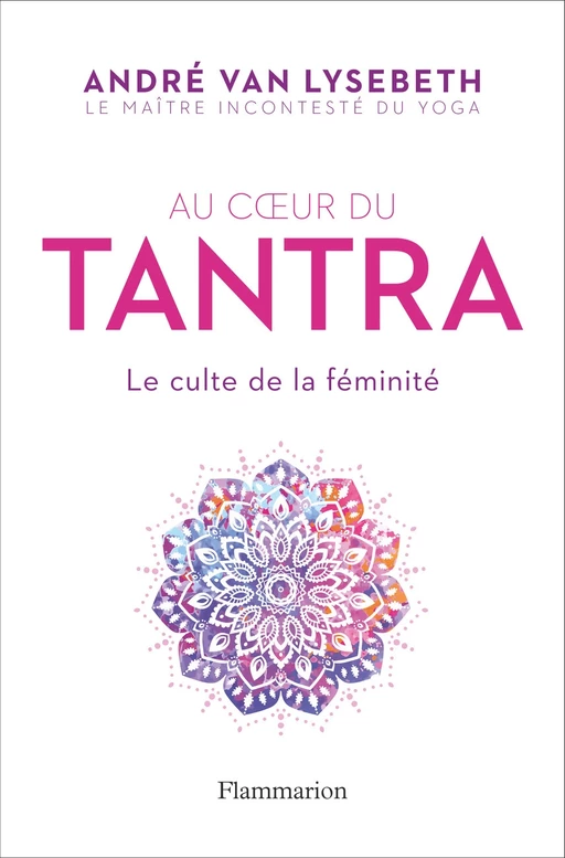 Au cœur du Tantra. Le culte de la féminité - André Van Lysebeth - Flammarion