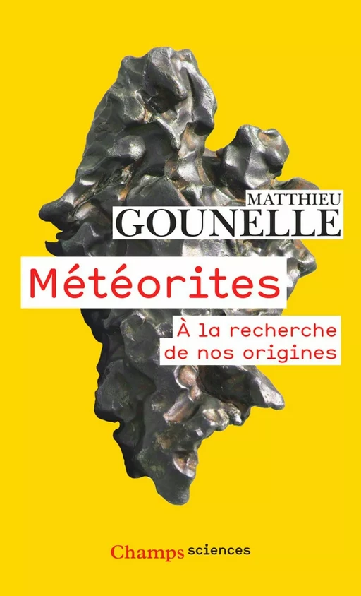 Météorites. À la recherche de nos origines - Matthieu Gounelle - Flammarion