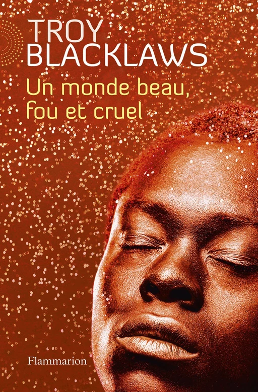 Un monde beau, fou et cruel - Troy Blacklaws - Flammarion