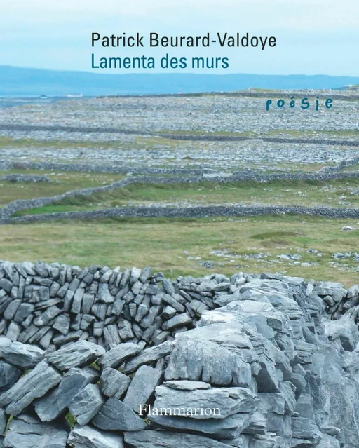 Lamenta des murs - Patrick Beurard-Valdoye - Flammarion