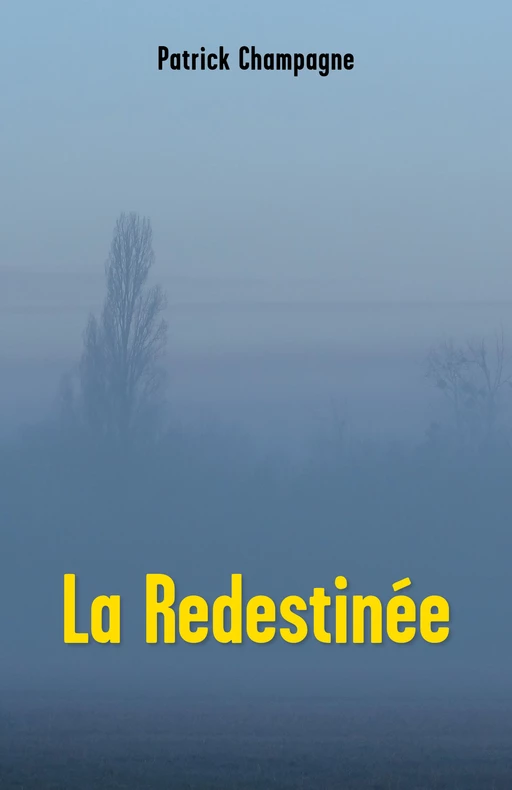 La Redestinée - Patrick Champagne - Librinova