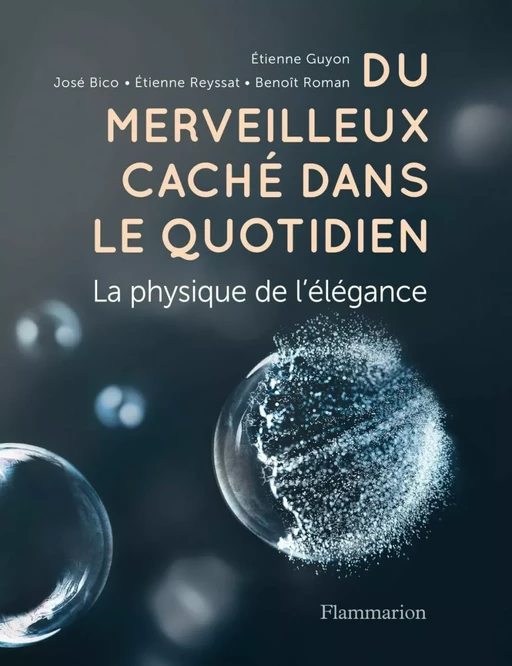 Du merveilleux caché dans le quotidien. La physique de l'élégance - Étienne Guyon,  Collectif - Flammarion