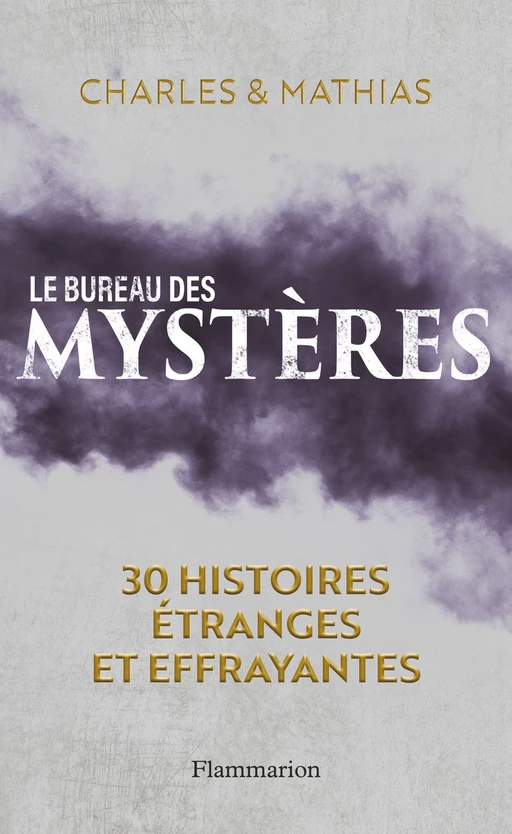 Le Bureau des mystères -  Charles,  Mathias - Flammarion