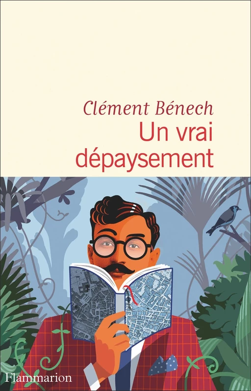 Un vrai dépaysement - Clément Bénech - Flammarion