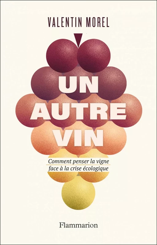 Un autre vin - Valentin Morel - Flammarion