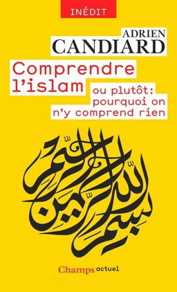 Comprendre l'islam. ou plutôt : pourquoi on n'y comprend rien