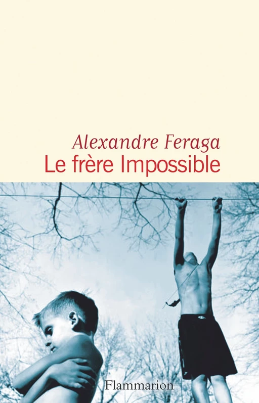 Le frère impossible - Alexandre Feraga - Flammarion