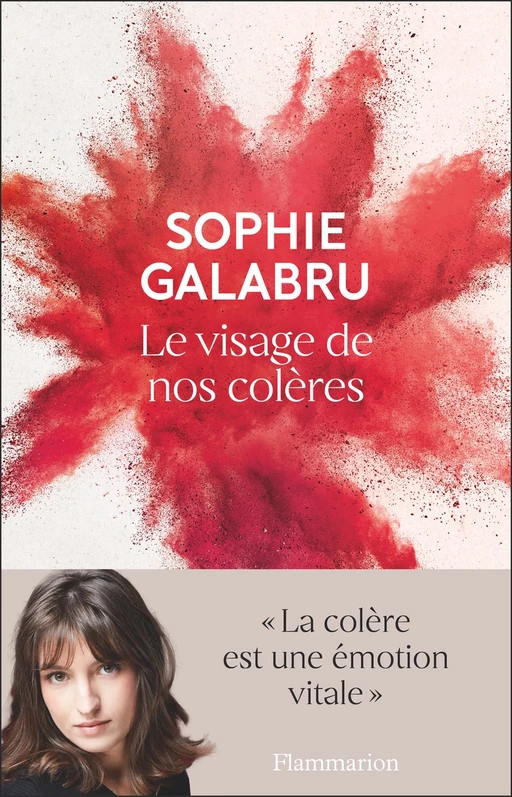 Le visage de nos colères - Sophie Galabru - Flammarion